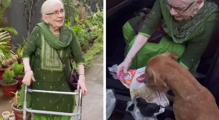 Mujer de 90 años madruga todos los días para alimentar a perritos sin hogar