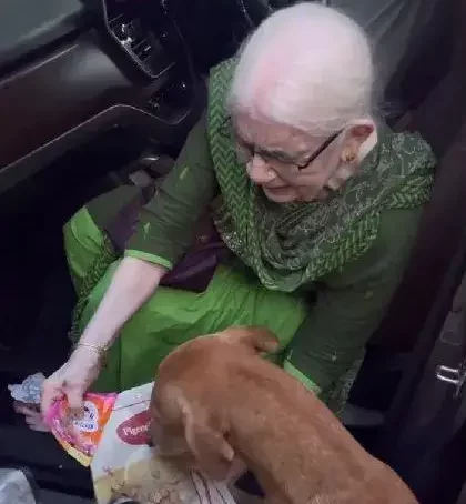 La abuela alimentando a uno de los perritos.