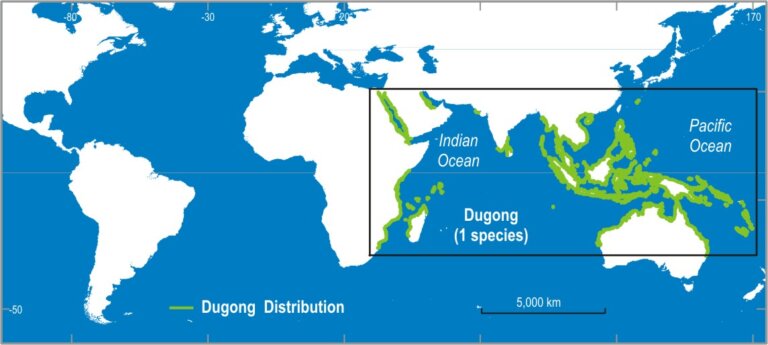 Distribución de las poblaciones de dugongo