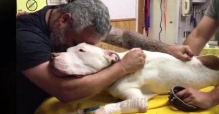 Doloroso caso de hombre que se despide de su compañero perruno tras 14 años, ¡un vínculo inigualable!