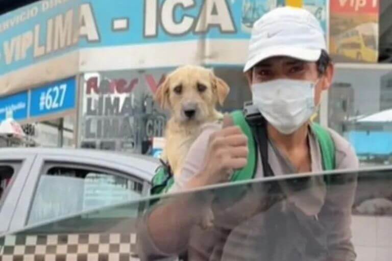 El hombre que trabaja junto a su perrito en las calles contó su historia a uno de sus clientes.