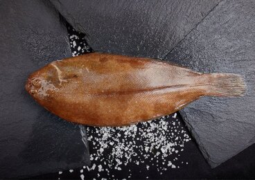 La acedía: hábitat, reproducción y características