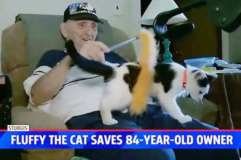 El anciano es un veterano que adoptó al gato porque vivía solo, nunca pensó que lo salvaría.