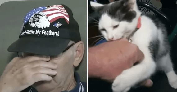 Anciano no puede contener su llanto al contar cómo su gato le salvó la vida