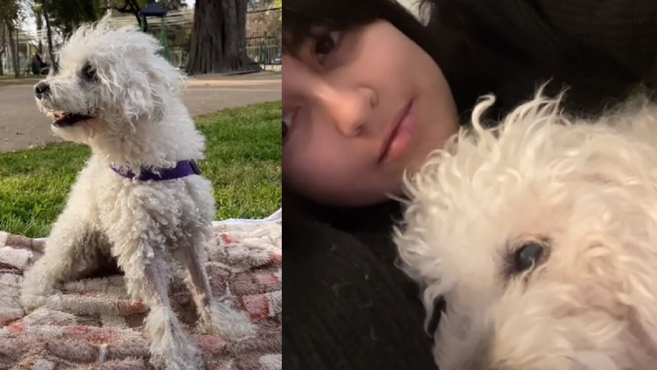 A despedida emocionada incluiu as atividades que o cachorro gostava de fazer.