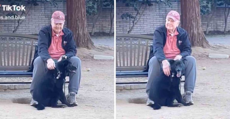 Mujer había perdido a su perrito y lo encontró acompañando a un abuelito, en el fondo sabía que él lo necesitaba más