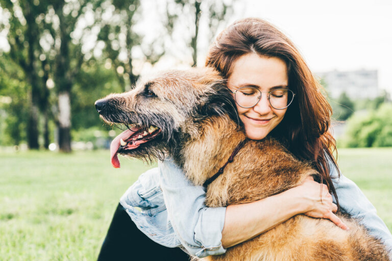 ¿Cómo expresa tu perrito la emoción al verte llegar y qué indica sobre su salud emocional?