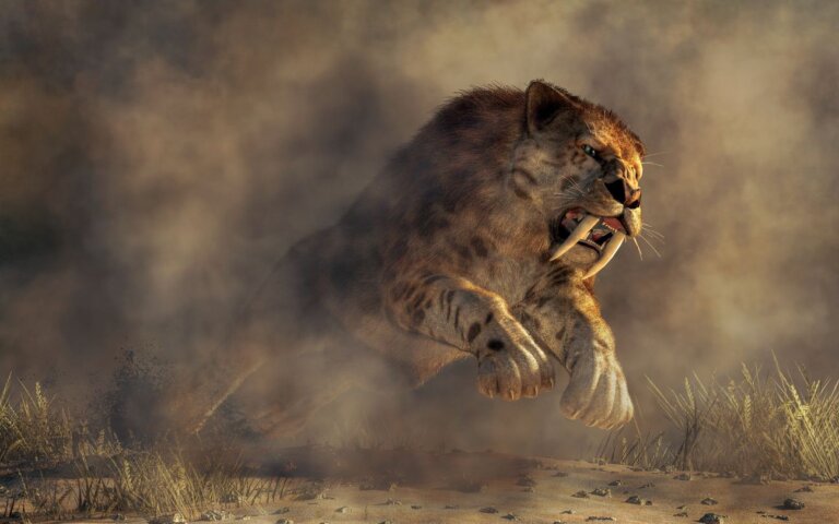 5 curiosidades del Smilodon