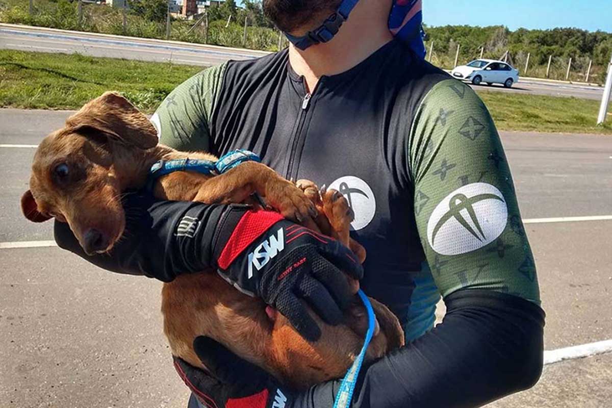 Agora esse lindo cachorrinho vive uma vida cheia de amor e aventuras com o casal que lhe deu uma segunda chance.