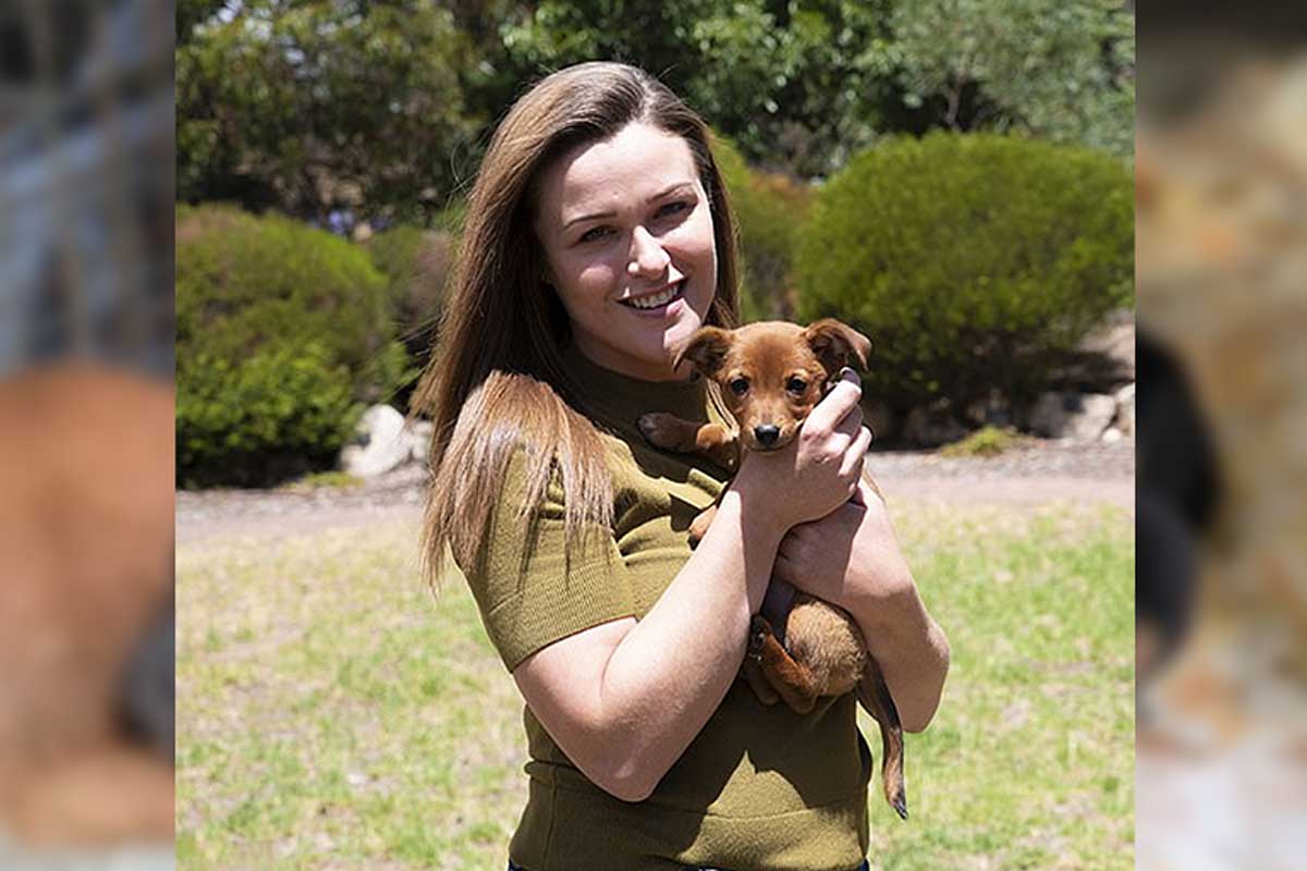 Eles encontram o cachorrinho e decidem chamá-lo de Angel.