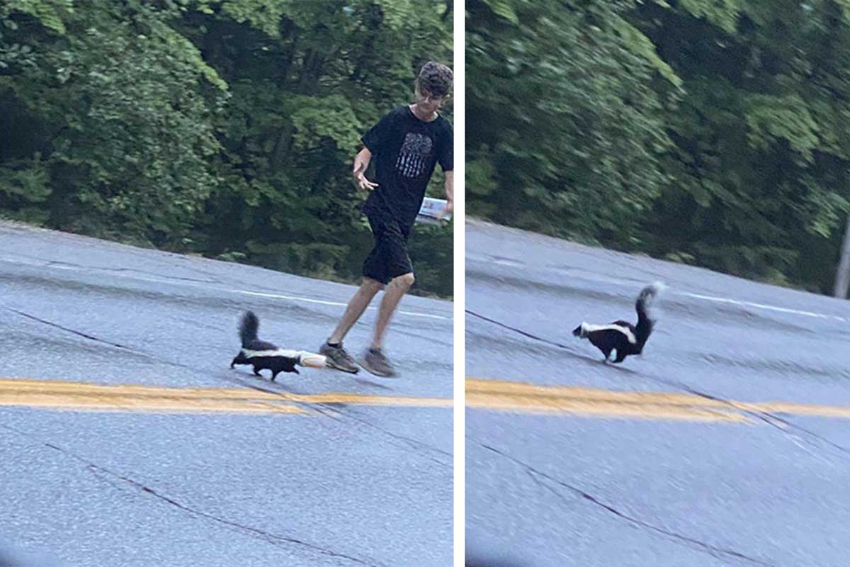 A boy saves a skunk.