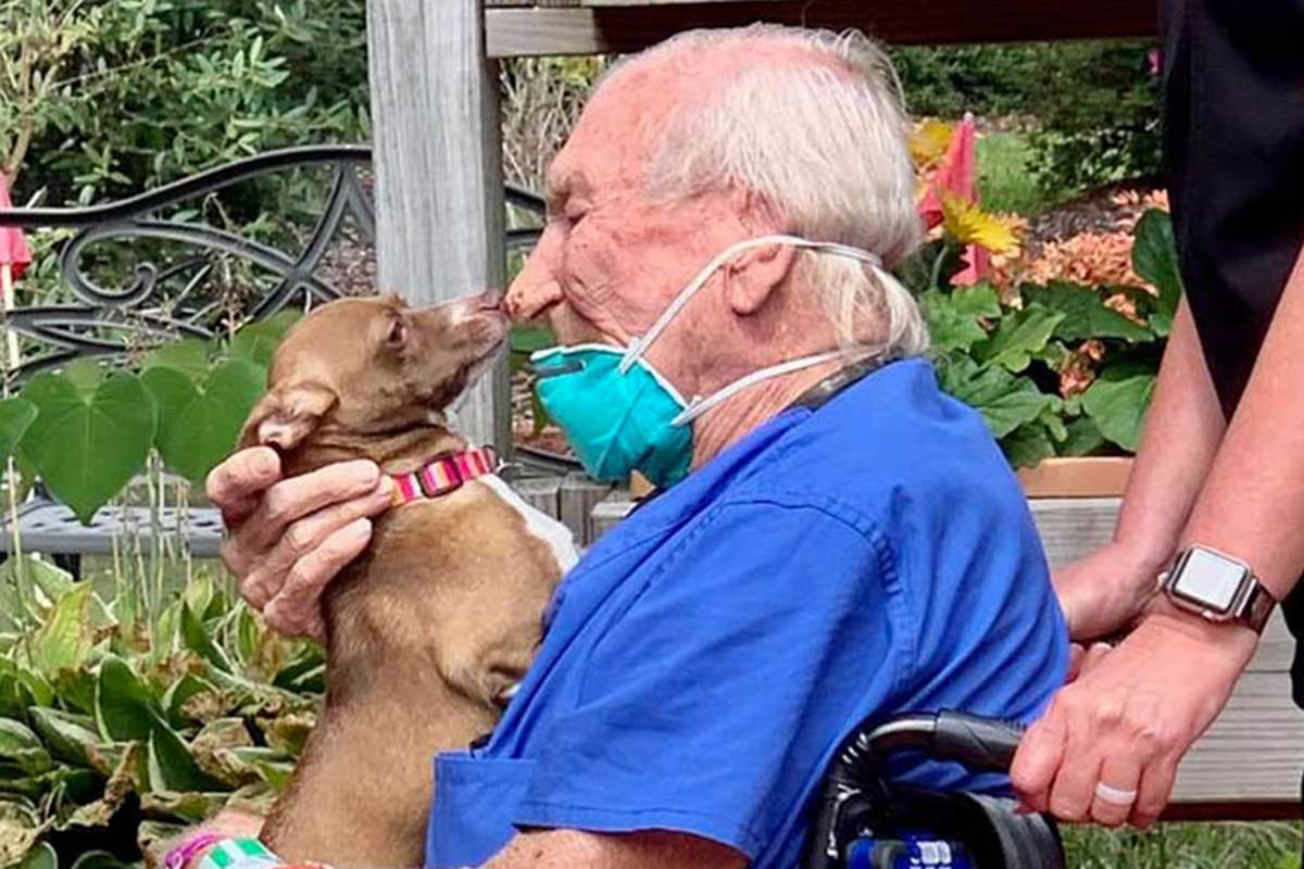 A presença do cachorro foi um alento para o homem que voltou para casa após se recuperar.