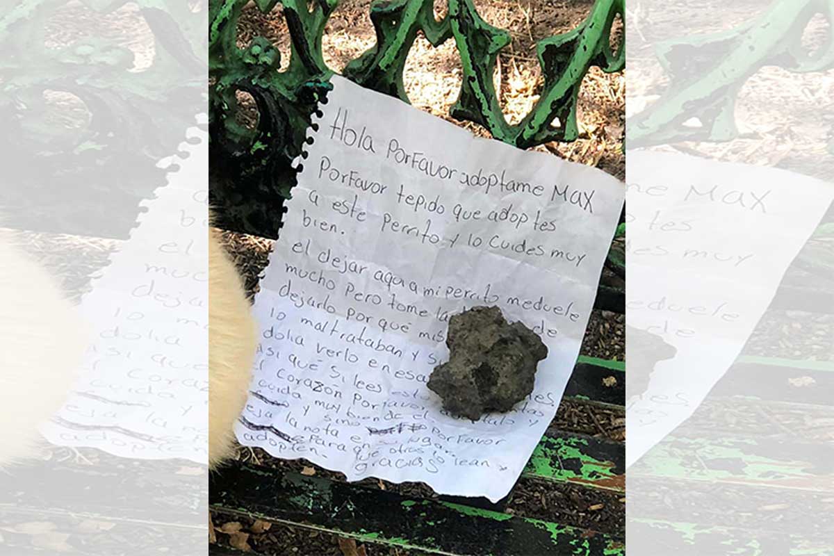 La carta con la que abandonaron al perrito en el parque es conmovedora y llega al corazón.