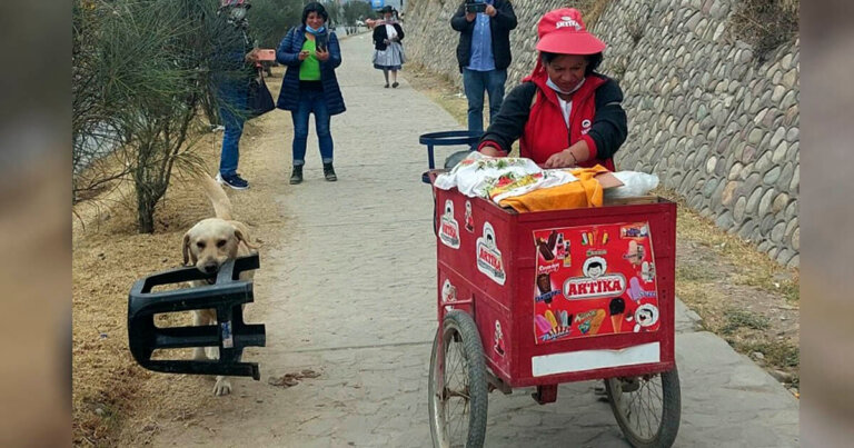 Perrito y su dueña comparten labores cotidianas de trabajo