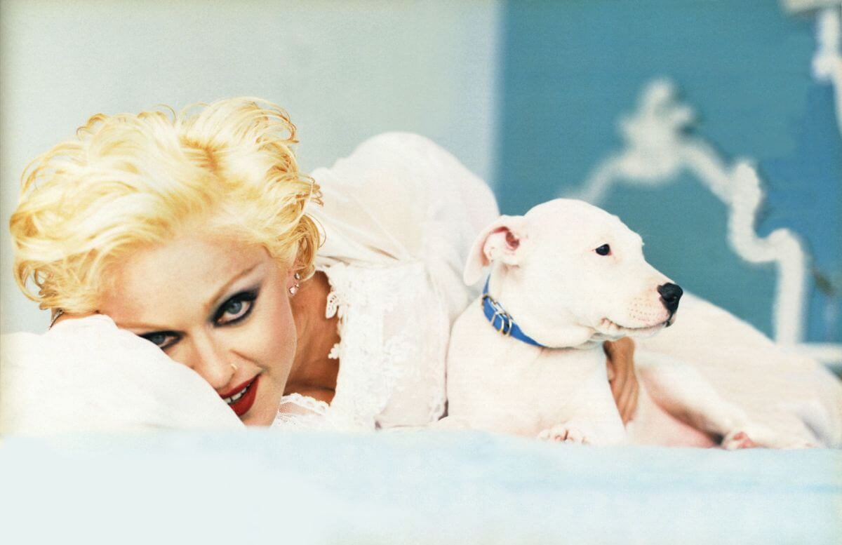 La perra de Madonna y otros perros de las cantantes más famosas