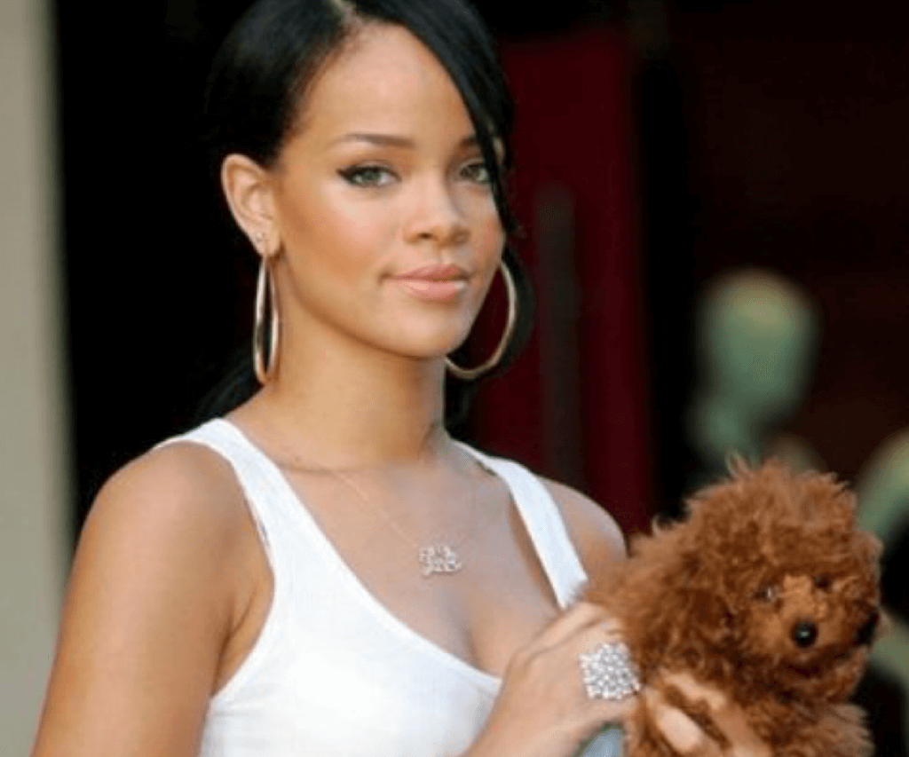 Rihanna e il suo cane