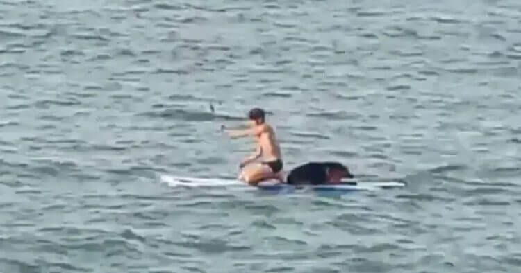 Surfista no duda en saltar al agua para salvar un perrito guía