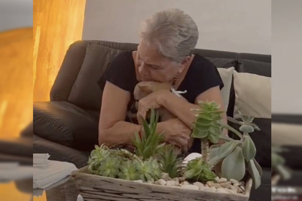 La abuelita lloró de la emoción y abrazó a su perrito que duró 7 meses perdido.