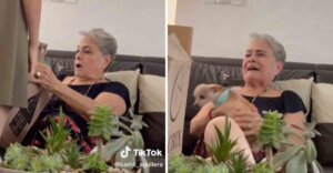 Abuelita lloró de la emoción al reencontrarse con el perrito que se le había extraviado hacía meses
