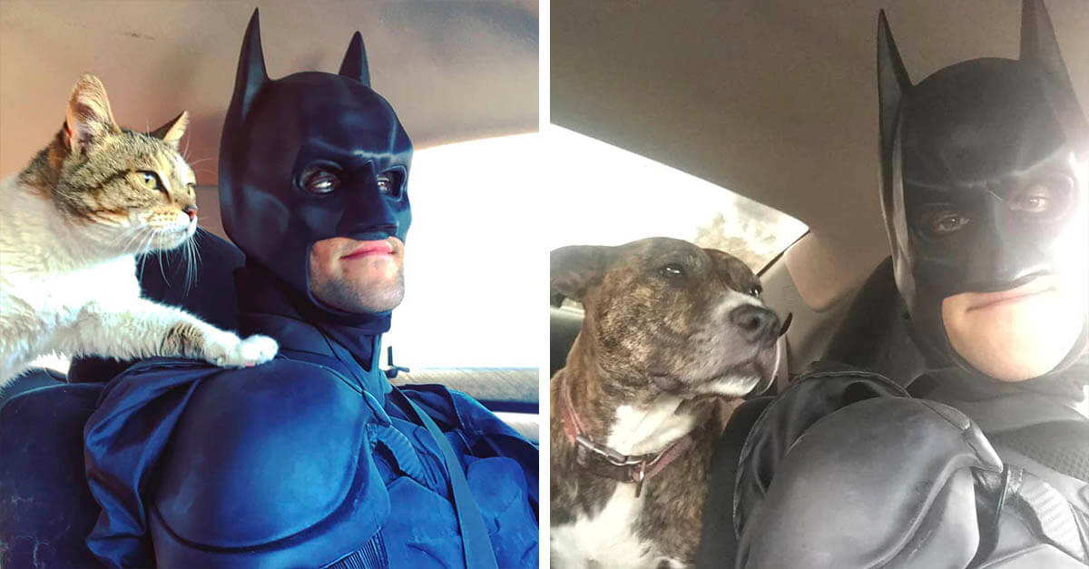 Pudimos cambiar el mundo! La historia del Batman que rescata animales sin  hogar - Mis Animales