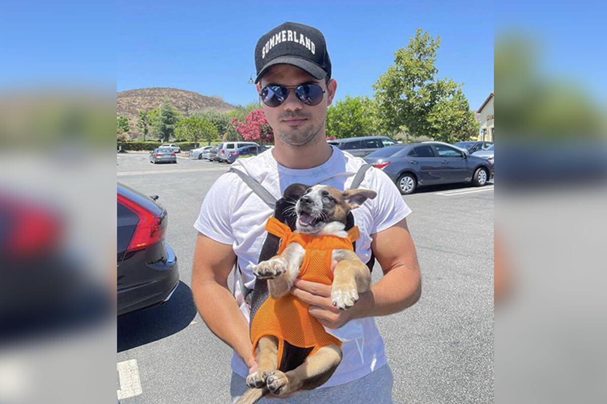 Taylor Lautner no dudó en adoptar a la perrita luego de conocer su historia.