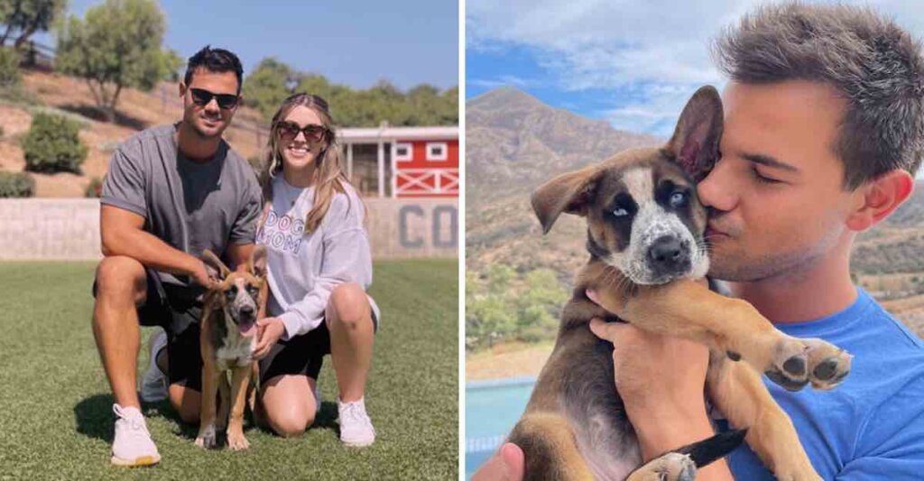 Taylor Lautner adoptó a una perrita mestiza que fue abandonada junto con su familia.