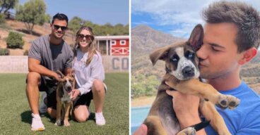 Taylor Lautner adoptó perrita mestiza que fue abandonada al nacer