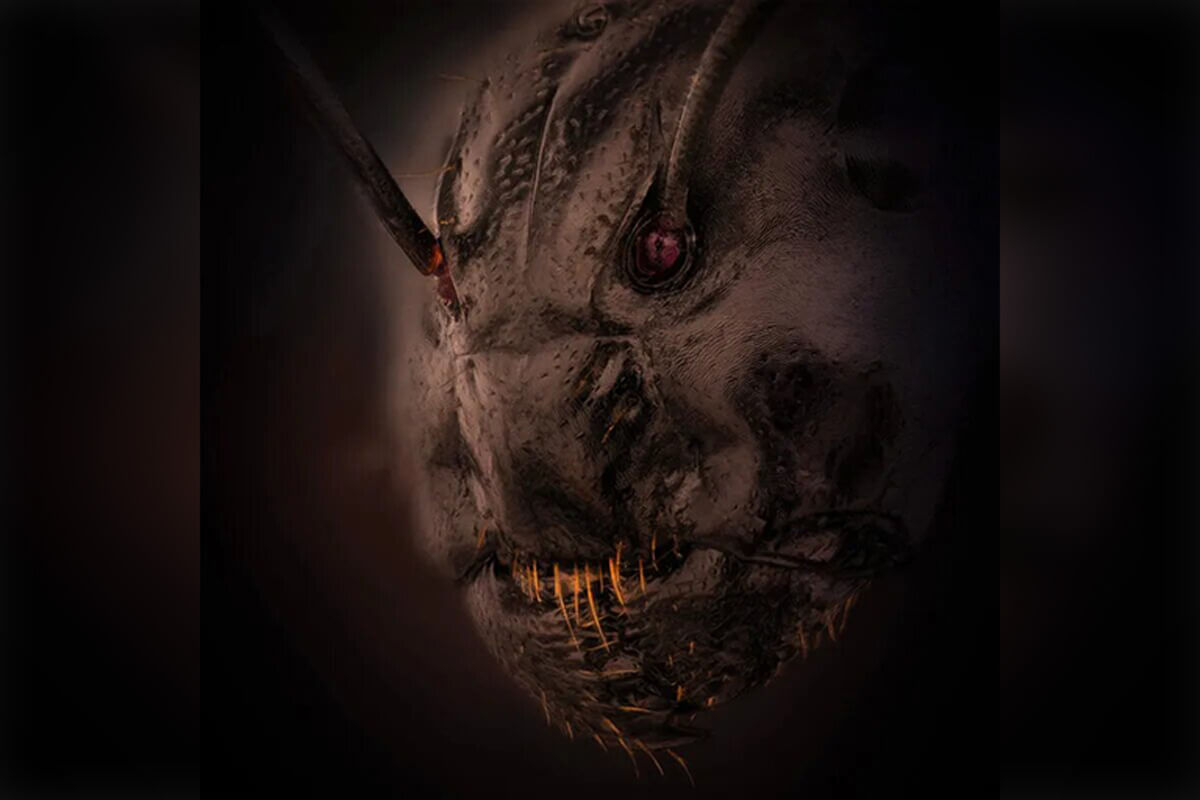 El primer plano de esta hormiga carpintera causa temor, pero esto podría deberse a la mala interpretación de sus partes.