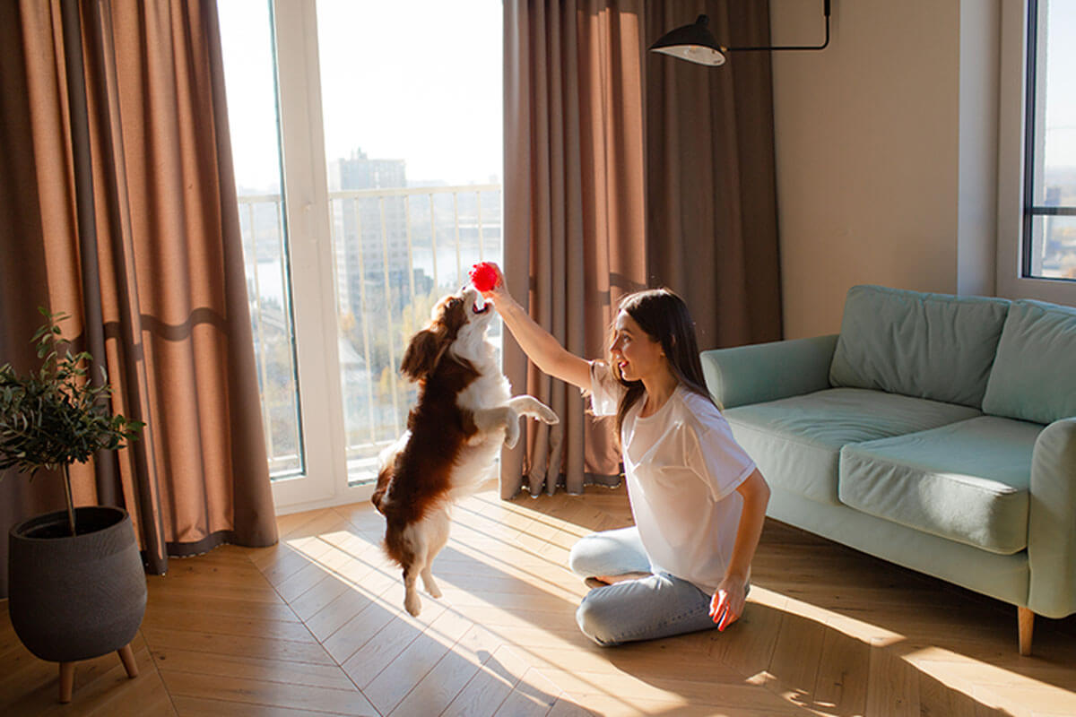 Nada como la emoción de llegar a casa y poder recibir el amor que tu mascota tiene para darte.