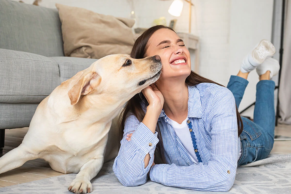 ¡Qué emoción llegar a casa y ser recibido por tu mascota!