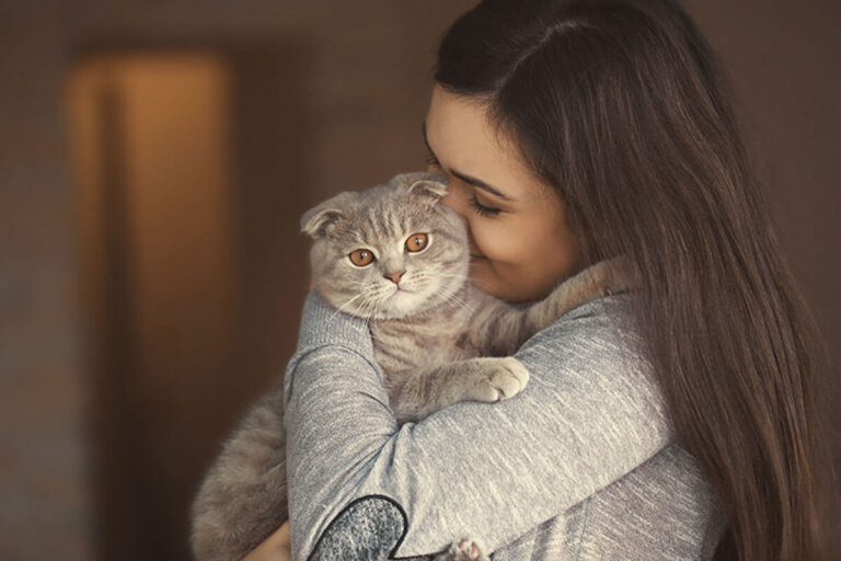 Tips para sobrevivir los primeros días con tu gato adoptado