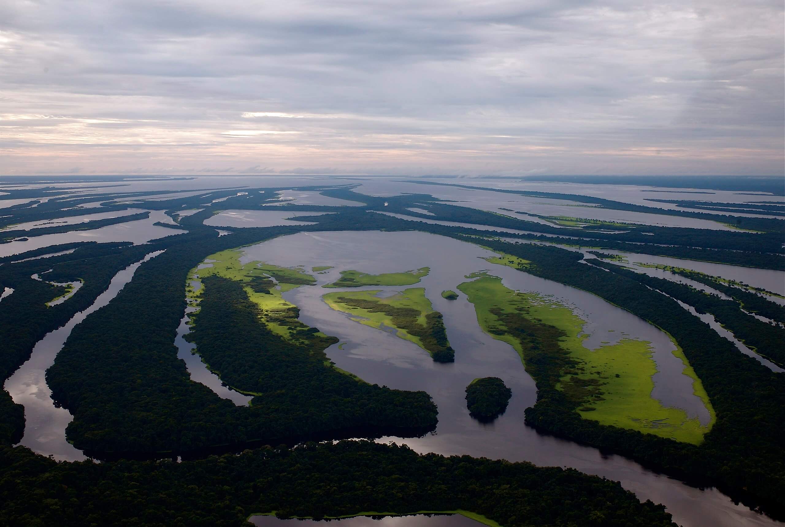 El Amazonas alberga gran biodiversidad con especies aniamales representativas.