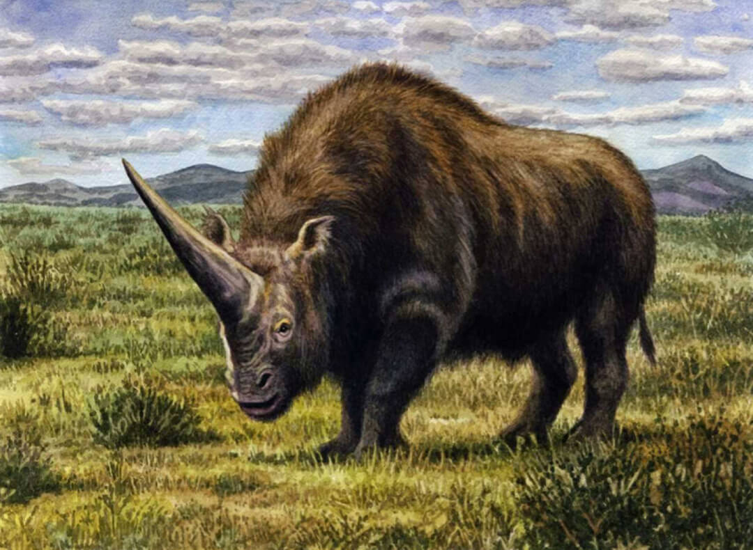 El Elasmotherium sibiricum en su hábitat.
