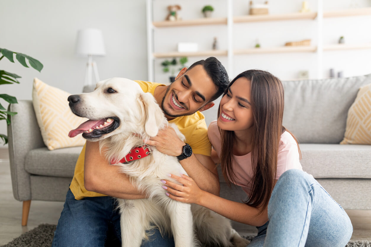 Todo lo que necesitas saber sobre el seguro obligatorio para perros con la nueva ley de bienestar animal