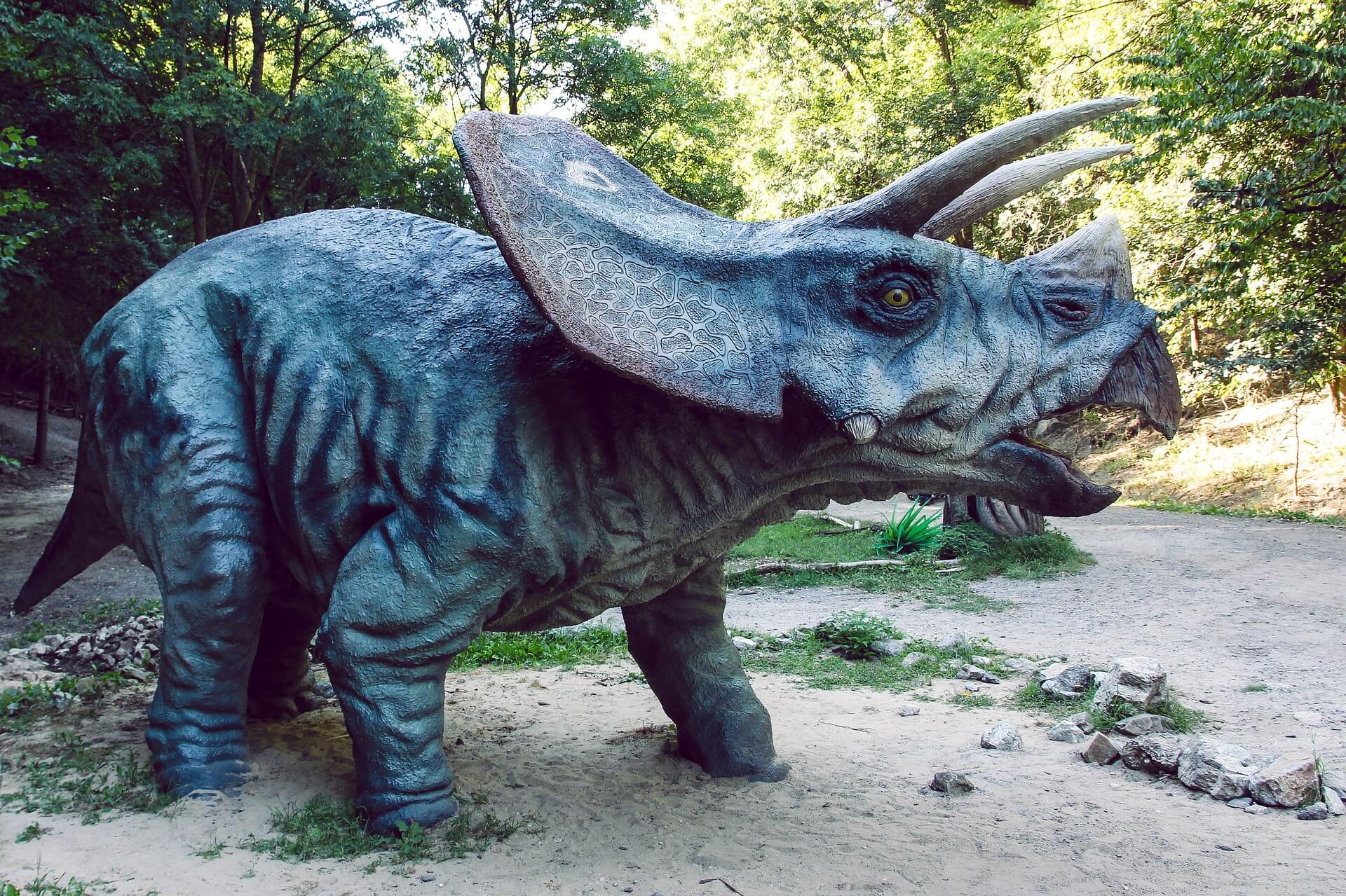 O triceratops, um dos dinossauros mais famosos, em seu habitat