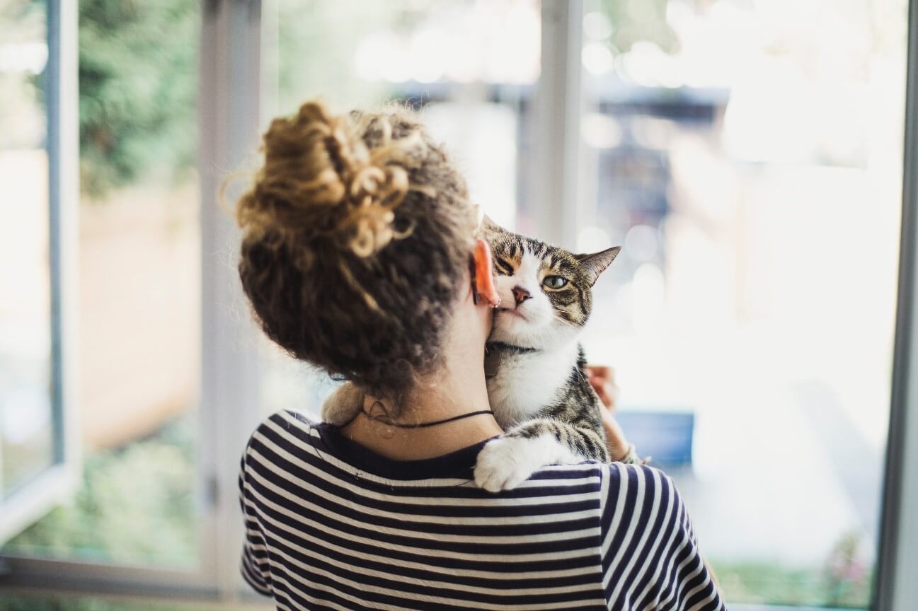 Gato abrazado a su tutor por hiperapego. 