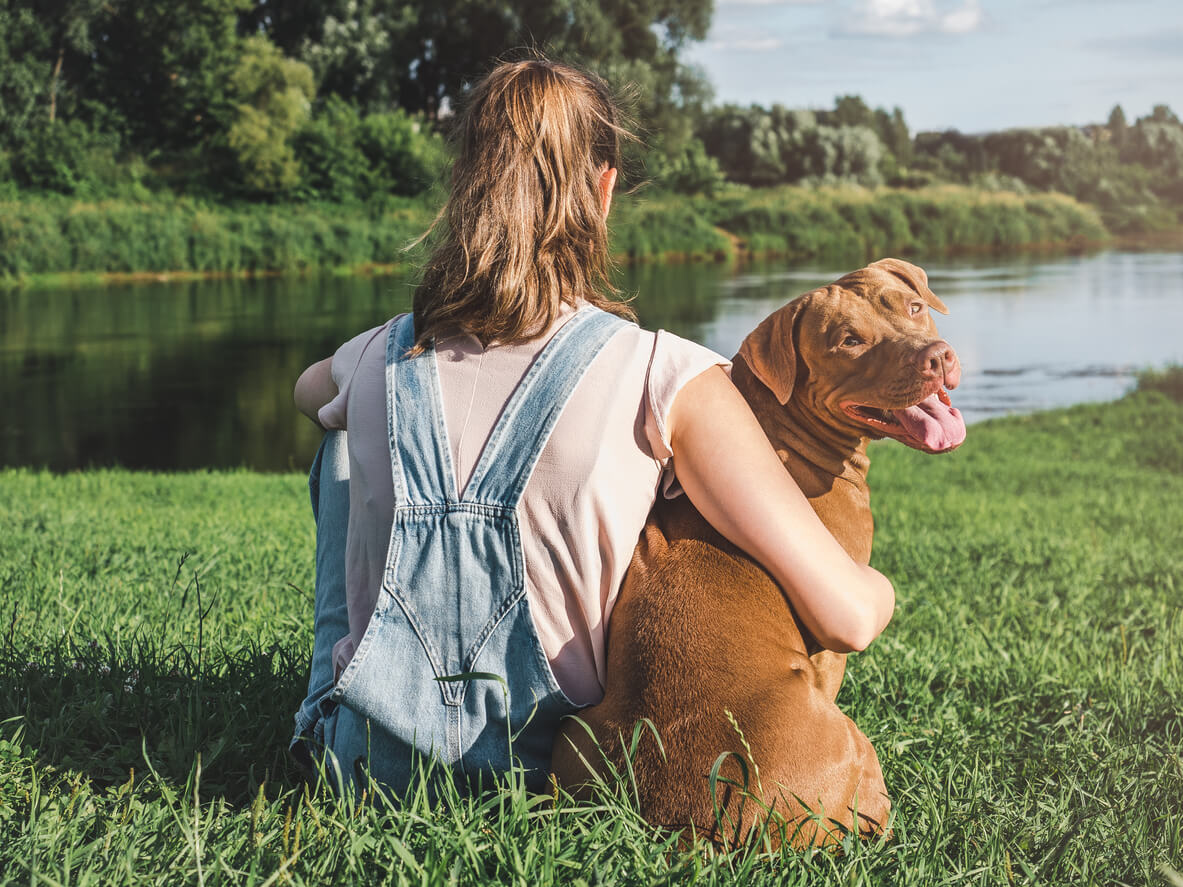 ¿Sabes todo lo que un seguro de mascotas puede hacer por ti?
