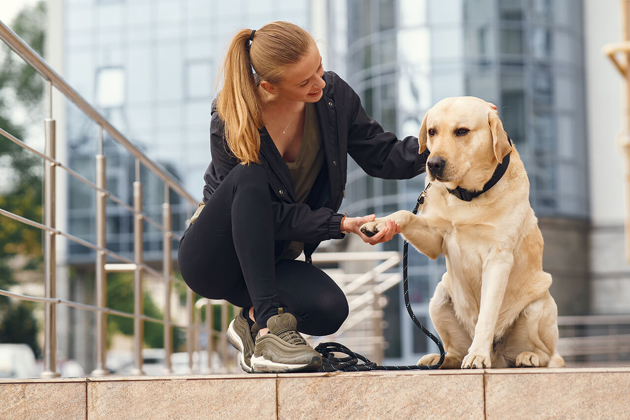 A woman holding her dog's paw while out on a walk.
