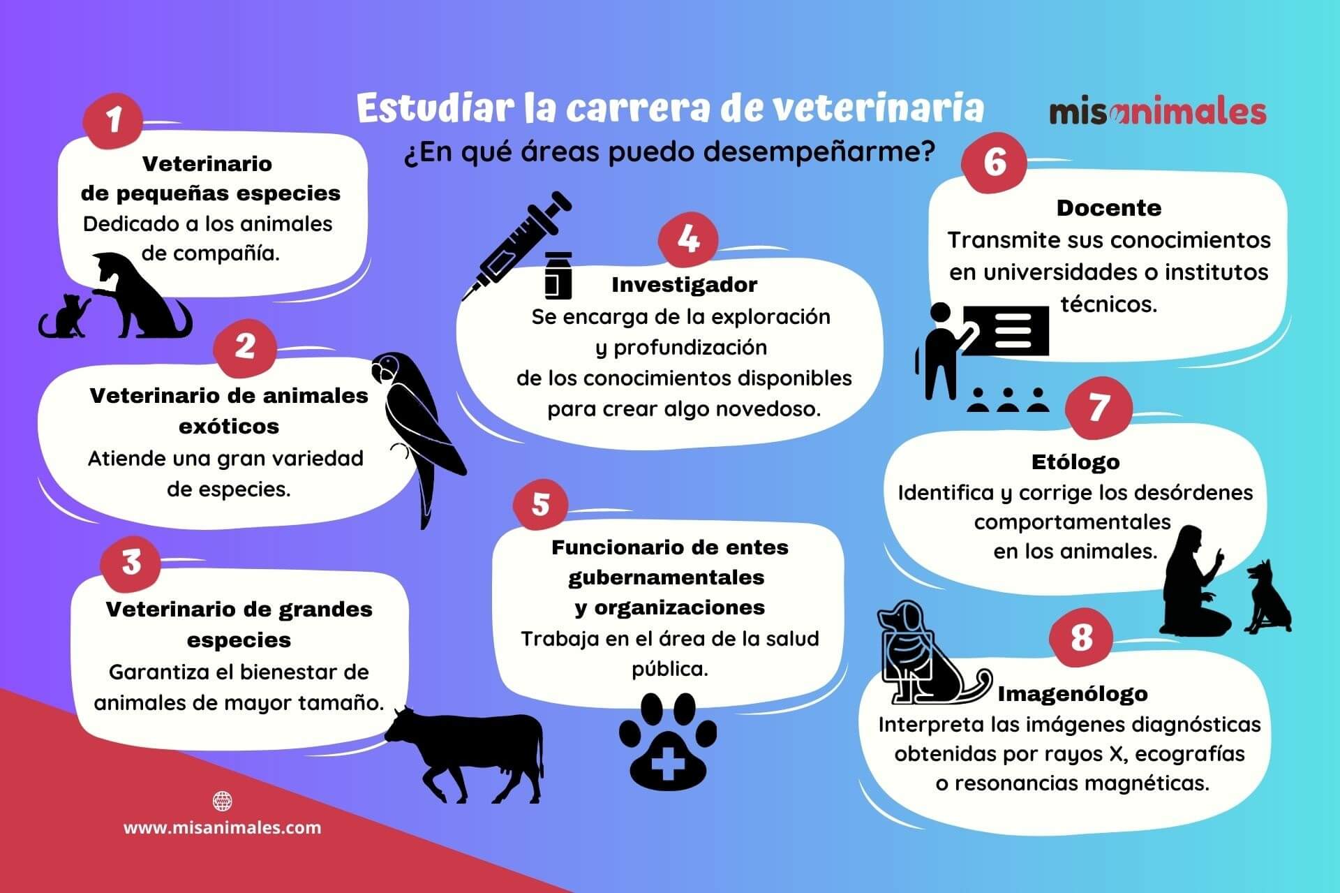 Infografía sobre las áreas en que las que se puede desempeñar una persona si se decide estudiar la carrera de veterinaria. 