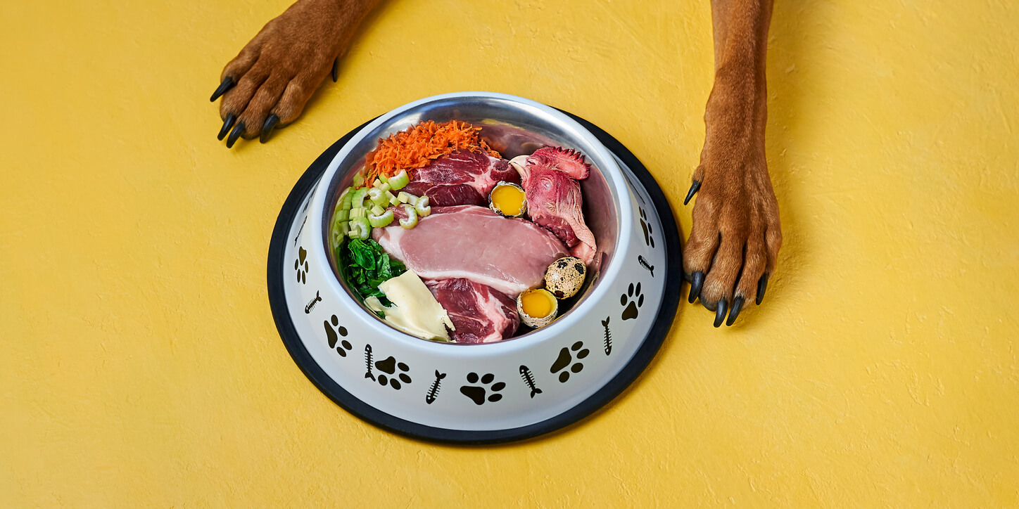 Plato de comida natural para perros con una de las preparaciones para perros con pancreatitis.