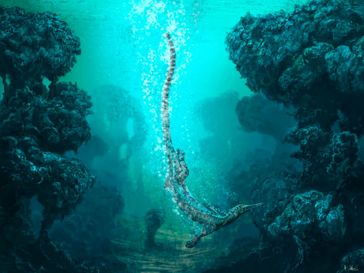 A realistic illustration of a mesosaur on the sea floor.