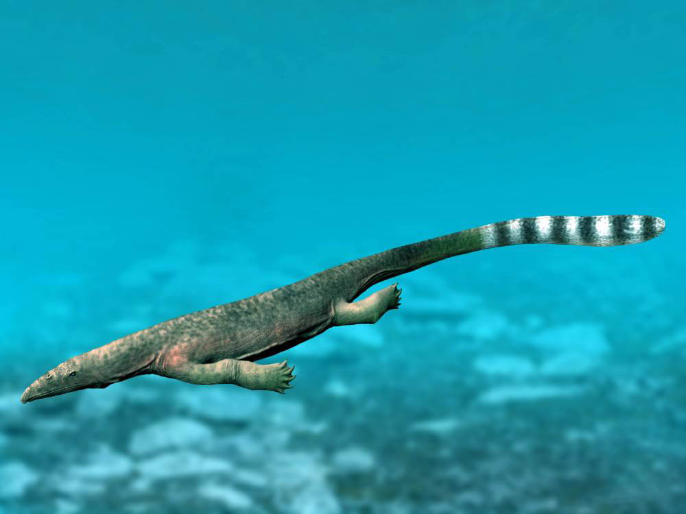 A digital illustration of a Thalattosaurus on the sea floor.