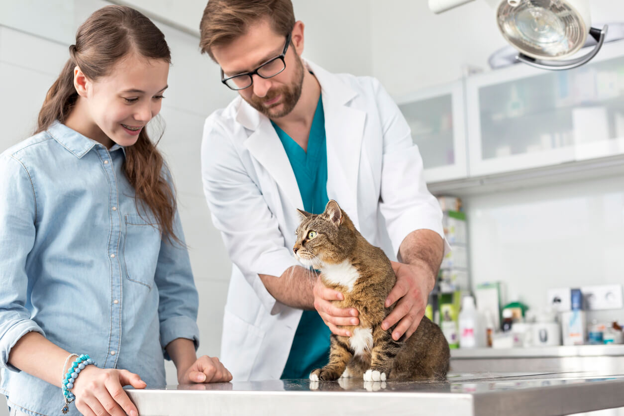Tutora lleva a su gato al veterinario, gracias a su póliza MAPFRE.
