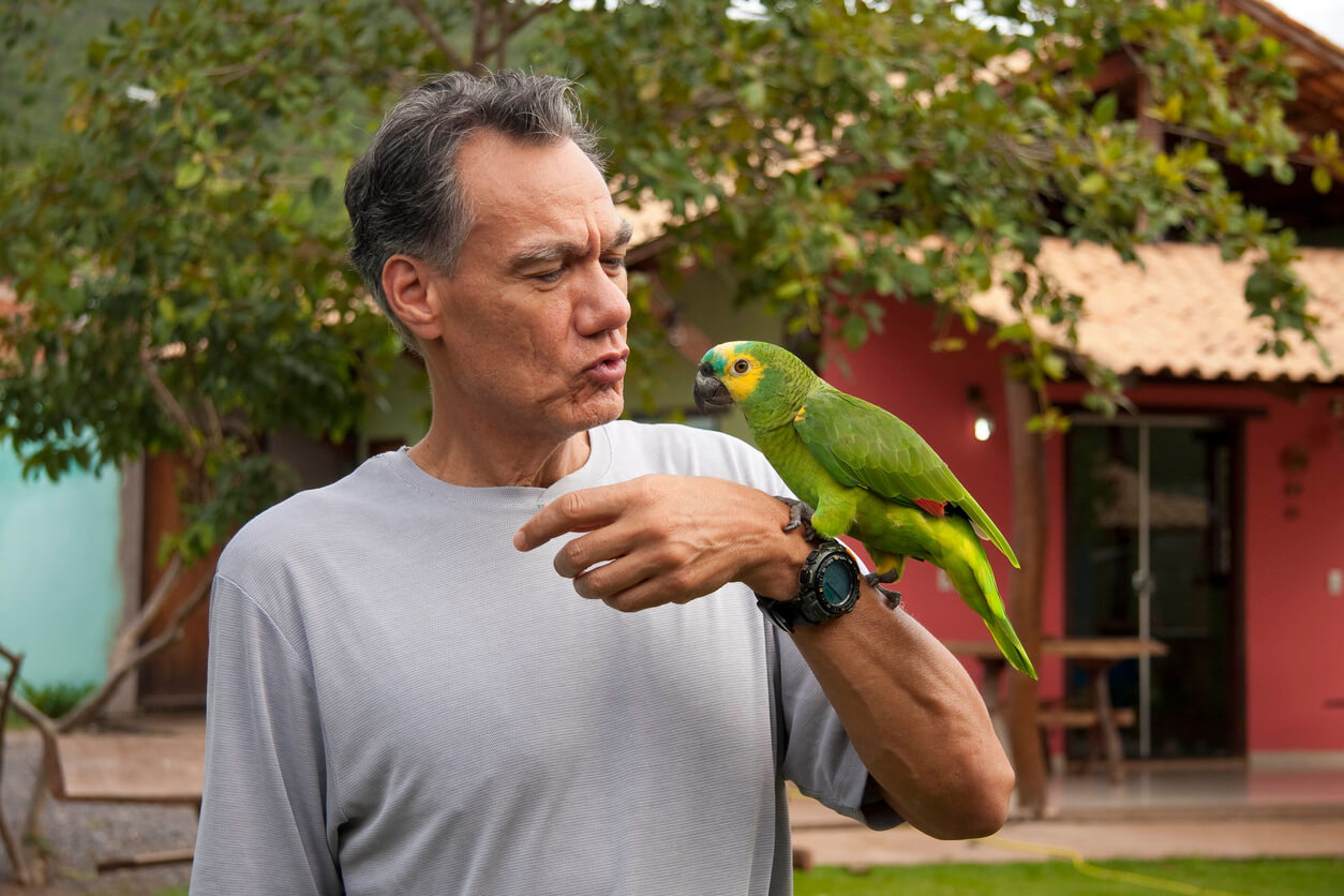 L'uomo tiene un pappagallo al polso per insegnargli a dire le parole.