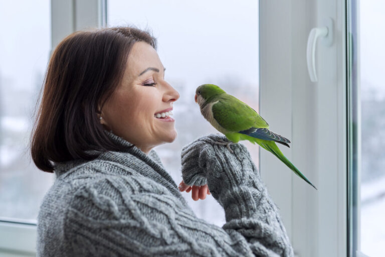 4 frases que puedes enseñarle a tu loro