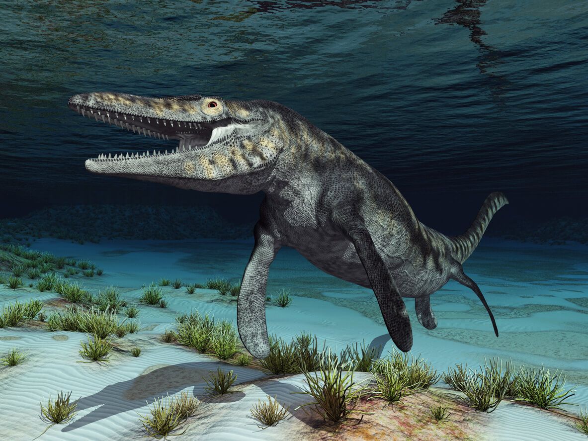 A digital illustration of a mososaurus on the ocean floor.
