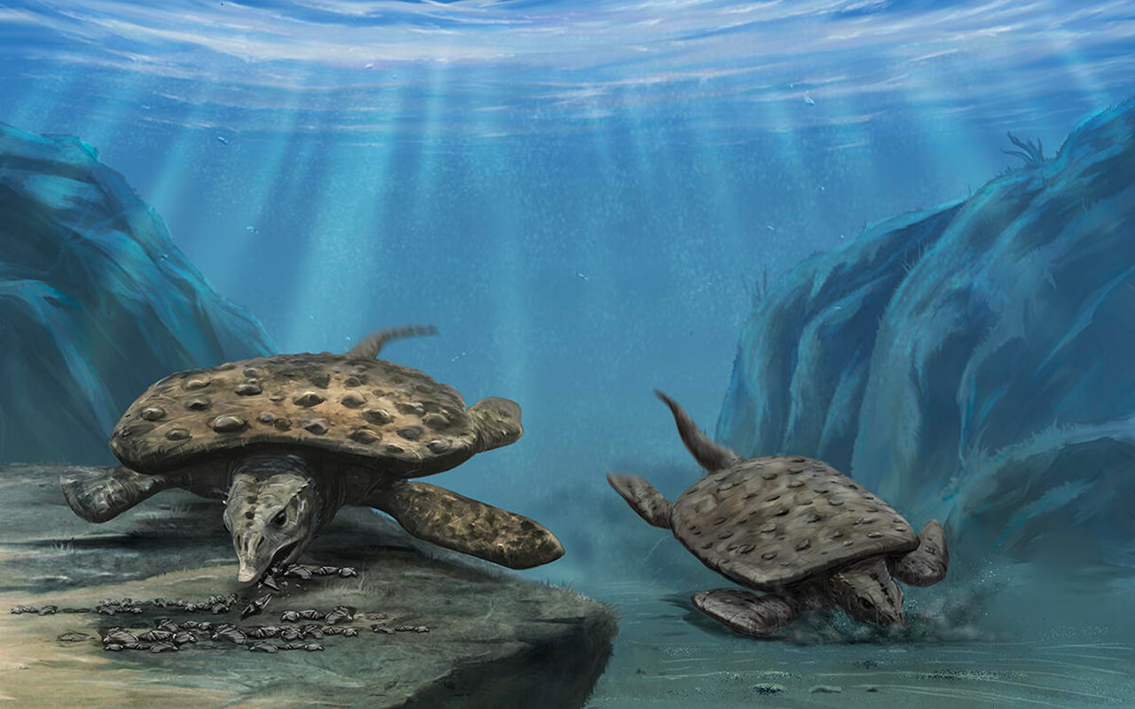 A digital image of Placodonts swimming near the ocean floor.