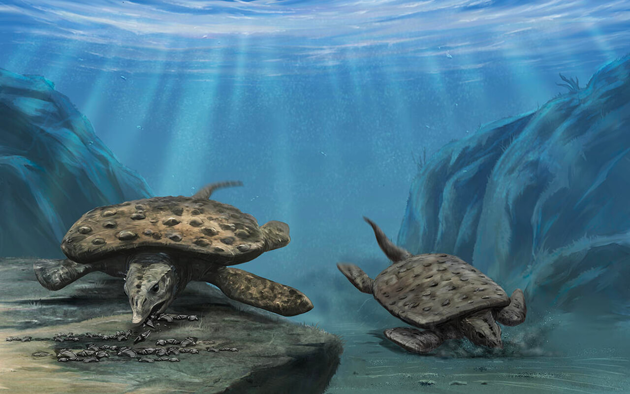 Ilustración de los placodontos donde se les ve alimentándose en el fondo marino.