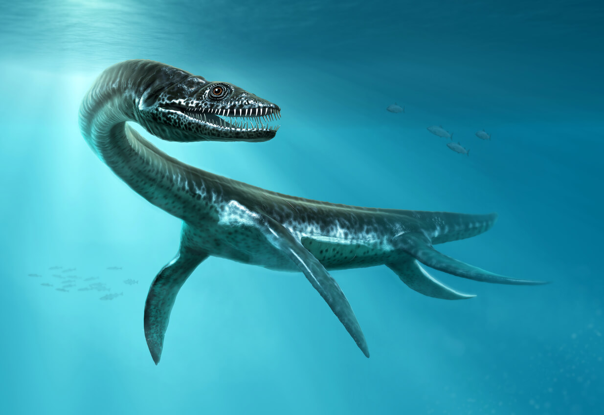 10 tipos de reptiles marinos de la era Mesozoica