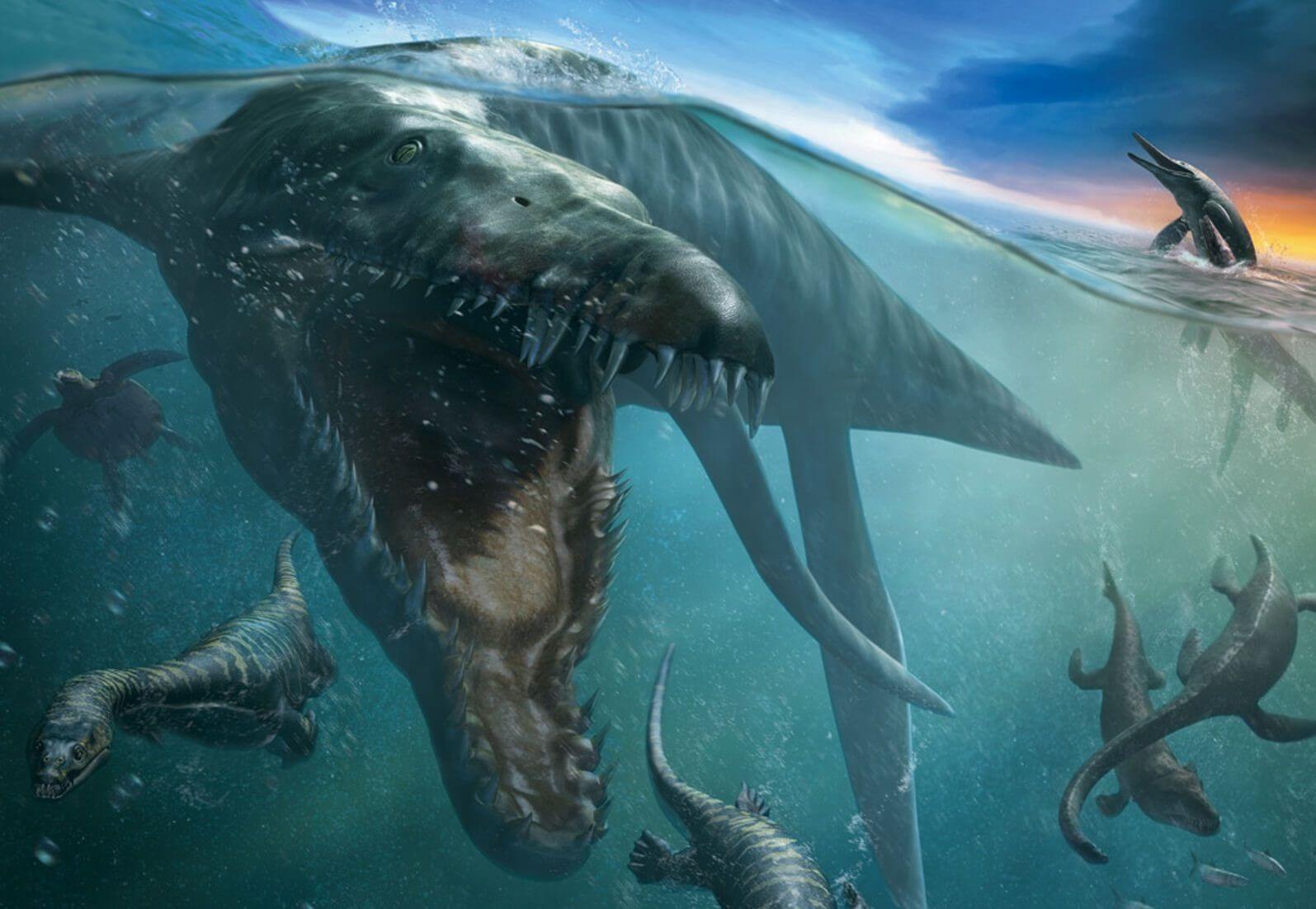A digital illustration of a pliosaurus hunting for prey in the ocean.
